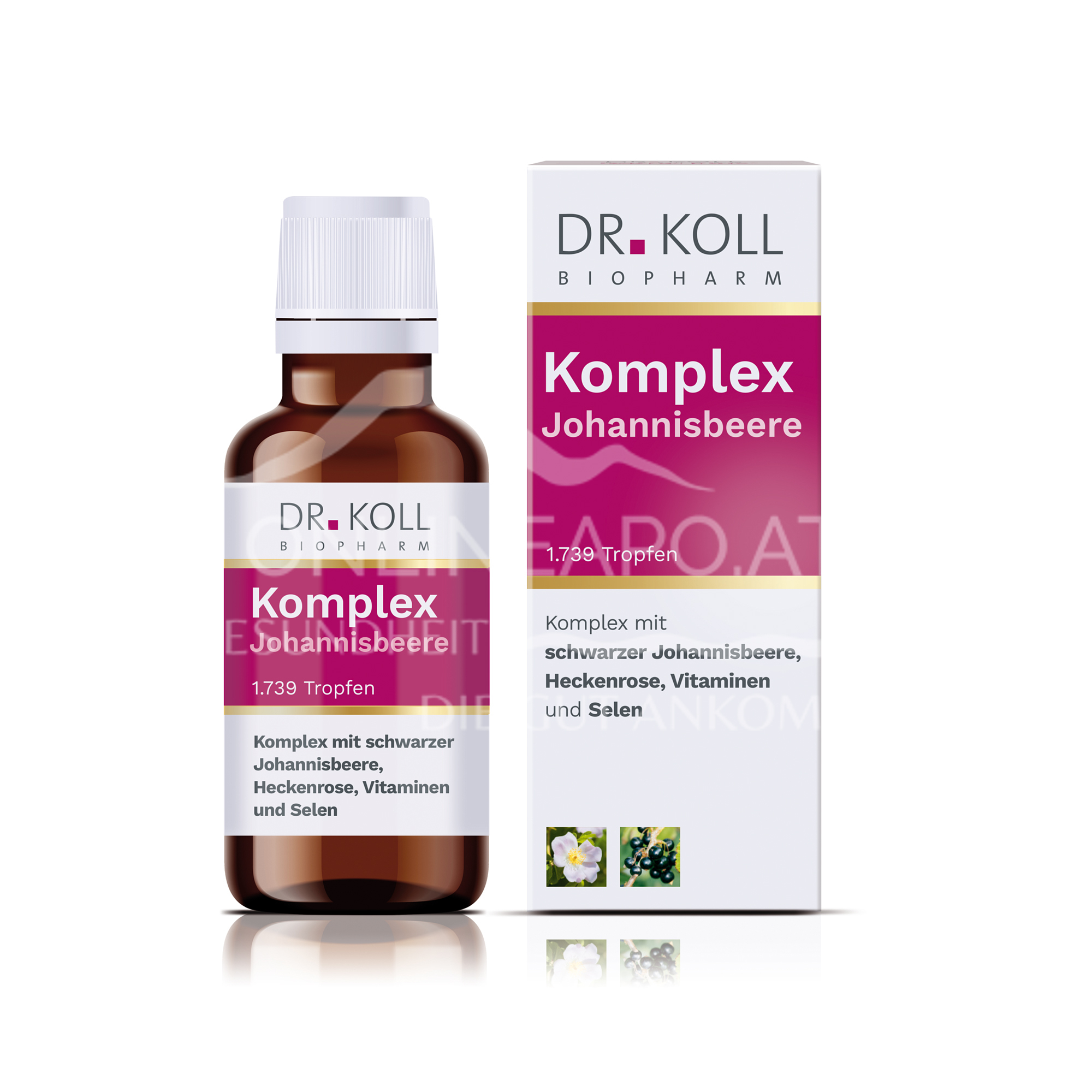 Dr. Koll Komplex Johannisbeere Tropfen