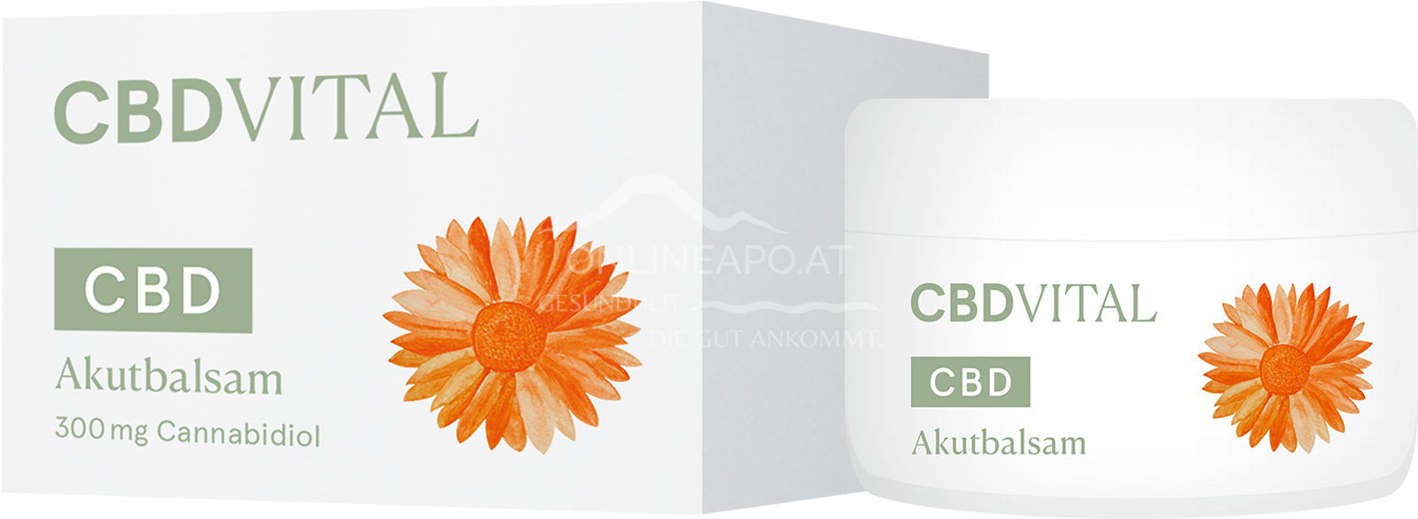 CBD VITAL Akutbalsam