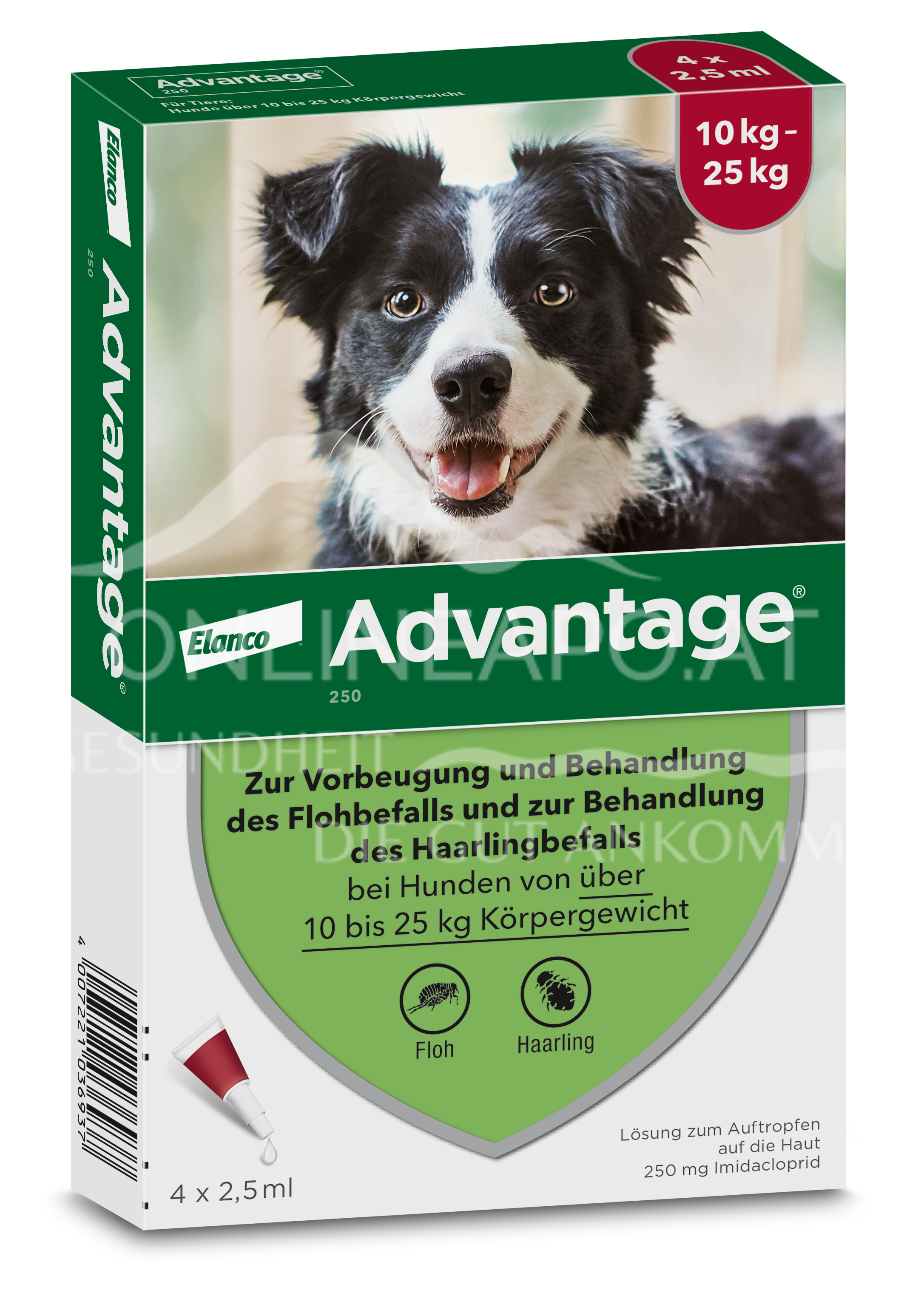 Advantage® für Hunde 10 - 25 kg 250 mg Lösung zum Auftropfen auf die Haut