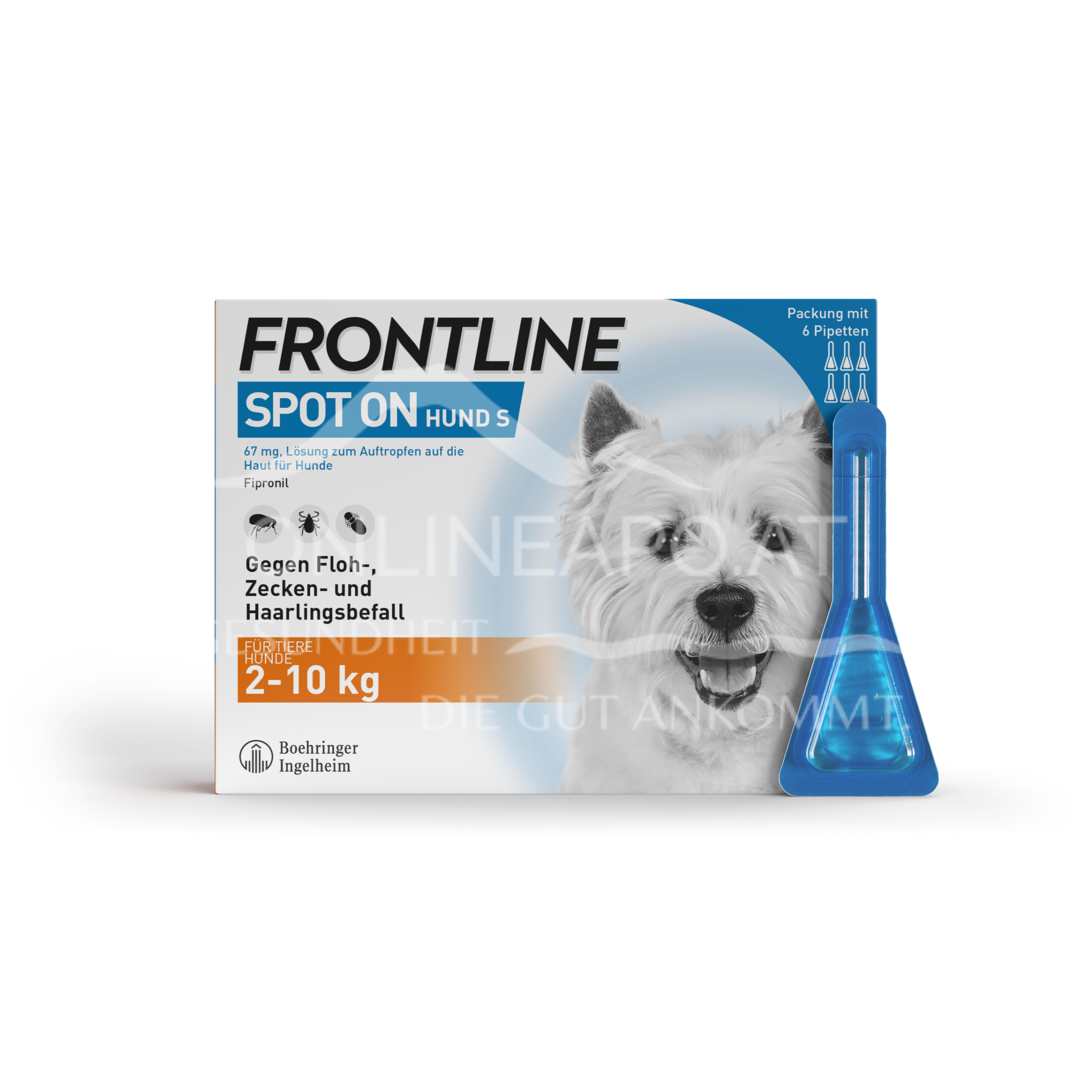 Frontline Spot on Kleine Hunde 67 mg Lösung zum Auftropfen auf die Haut