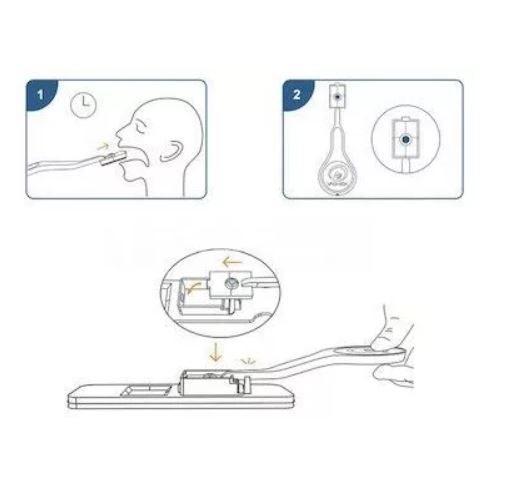 V-CHEK Antigen Lollipop Schnelltest