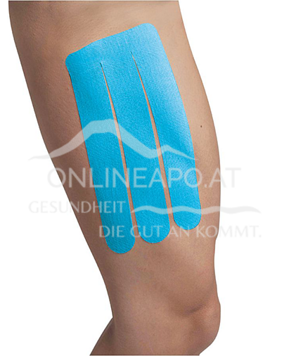 SpiderTech ADDUKTOREN + LEISTE