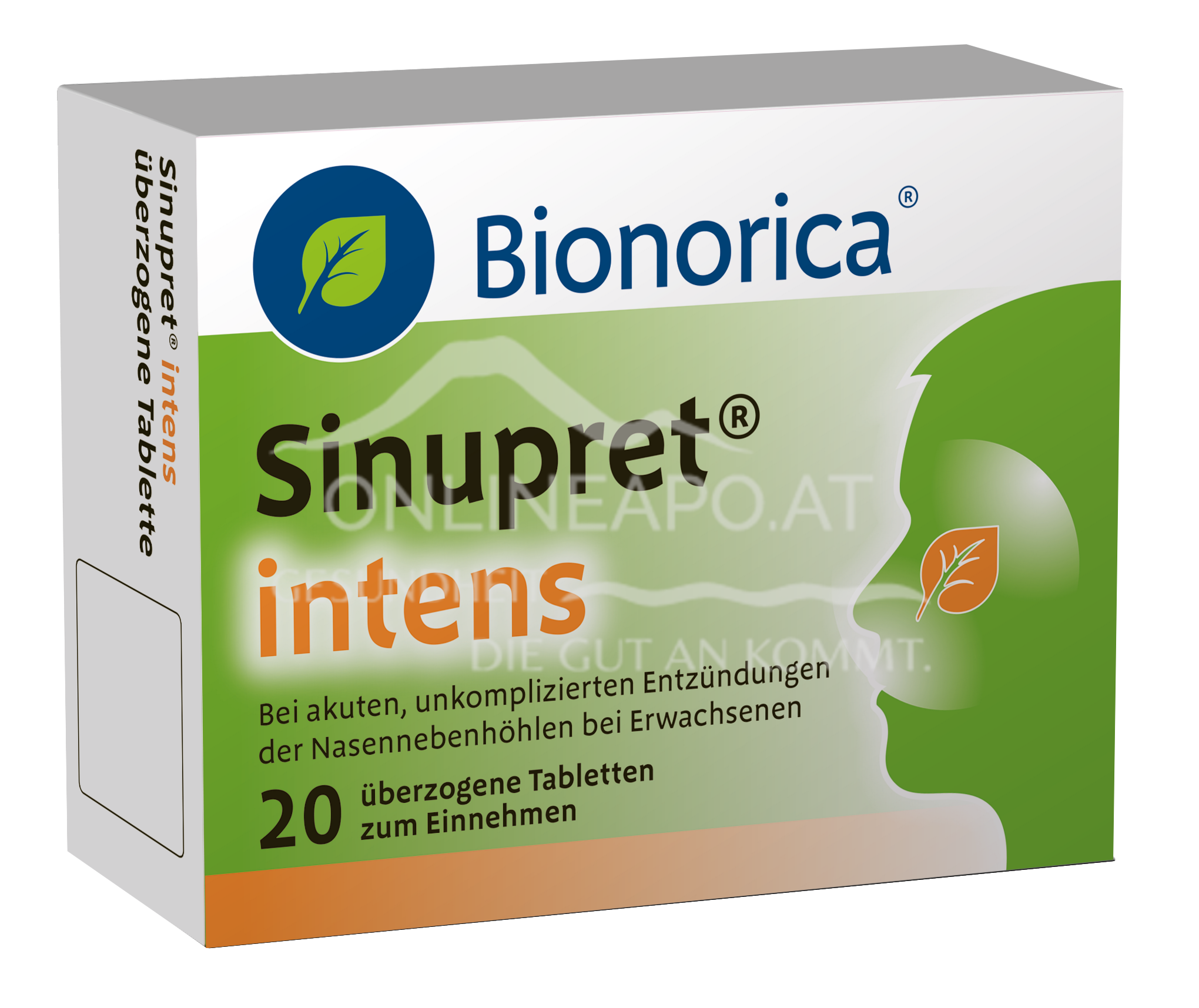 Sinupret® intense Tabletten