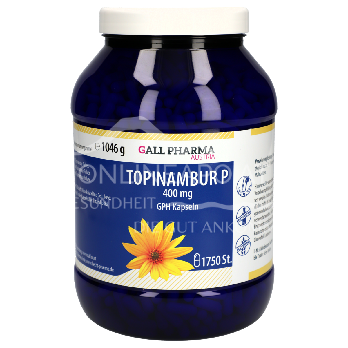 Gall Pharma Topinambur P Kapseln