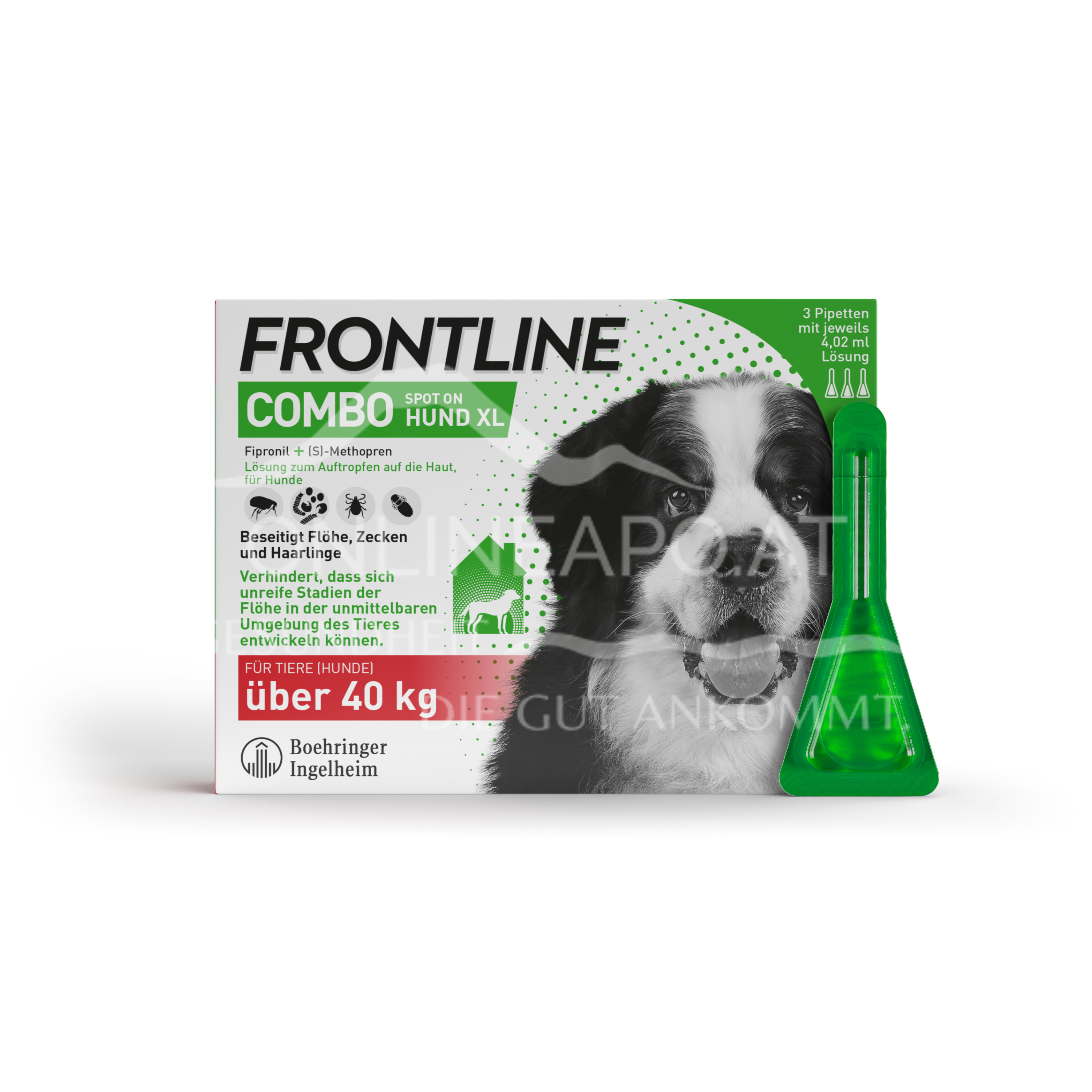 Frontline Combo Spot on Hund XL Lösung zum Auftropfen auf die Haut über 40 kg