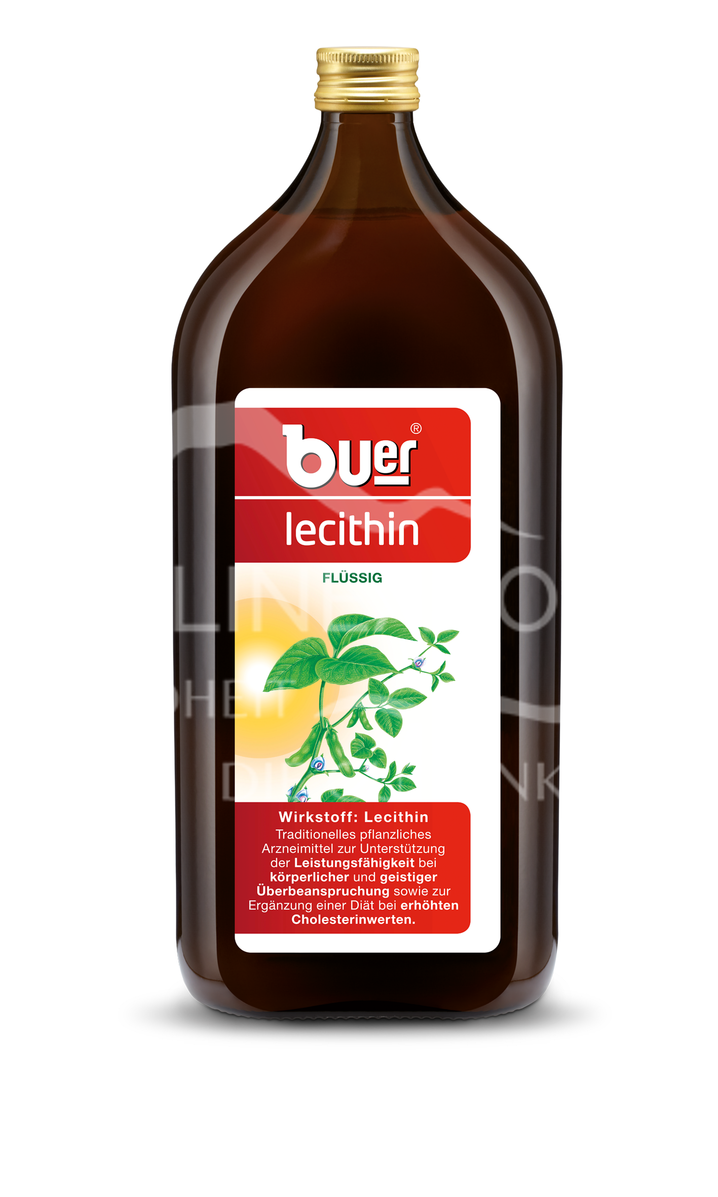 Buerlecithin flüssig Tonikum