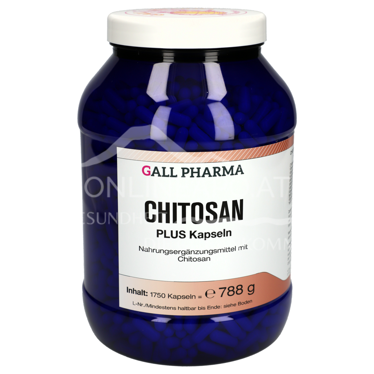 Gall Pharma Chitosan Plus Kapseln